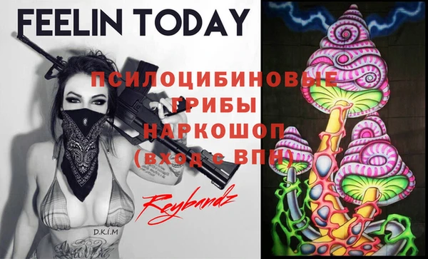 круглые Алексеевка