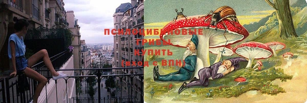 герыч Алексин