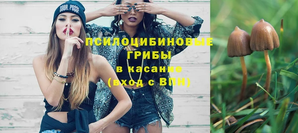 герыч Алексин